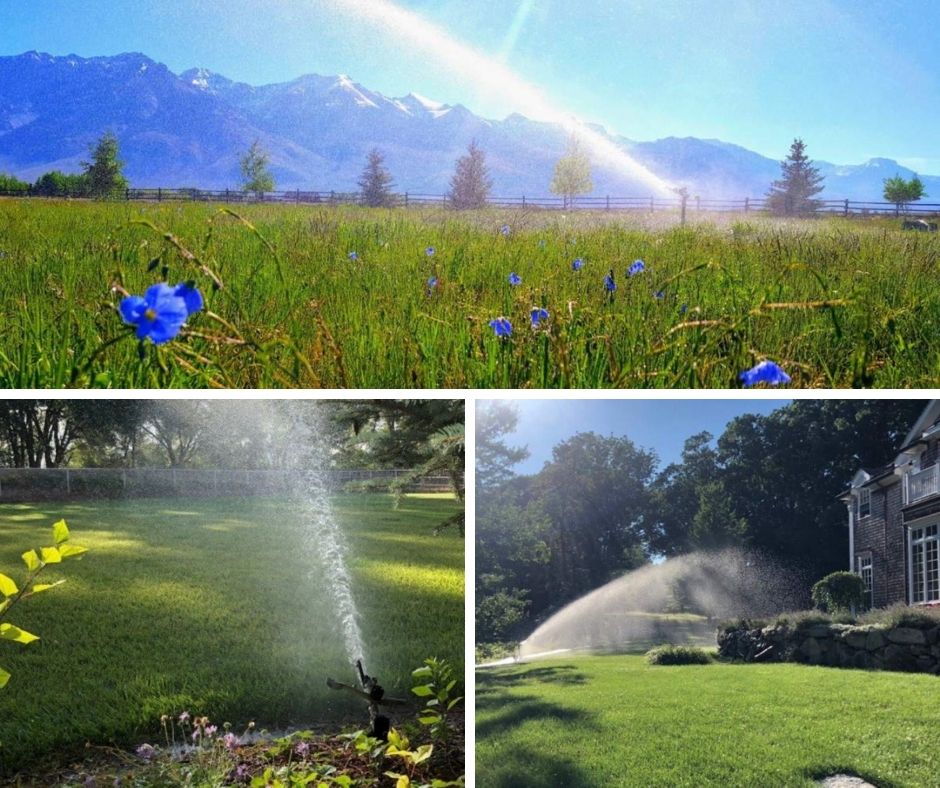 Collage of the 2018 Big Sprinkler Photo Contest Winners including a field of purple flowers, a green field with decorative rocks, and an estate with a Big Sprinkler in the ample-sized yard