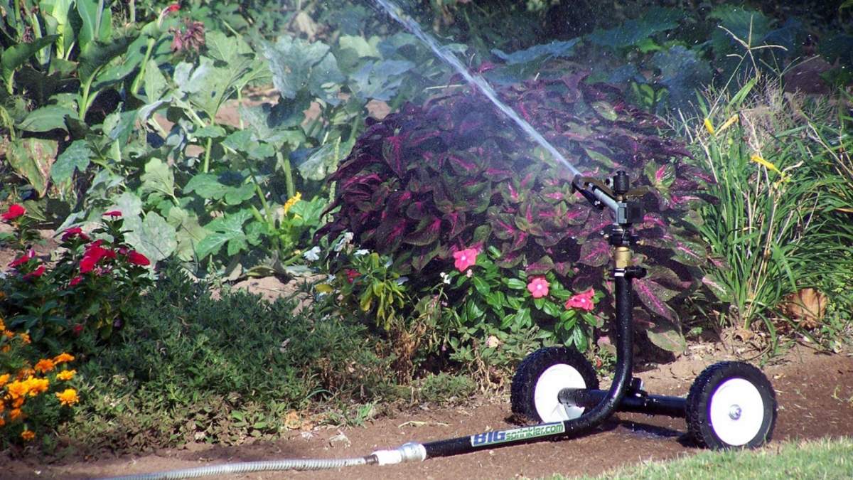Beautiful garden flowers and plants of all different colors with the 1000F Sprinkler Cart watering them 