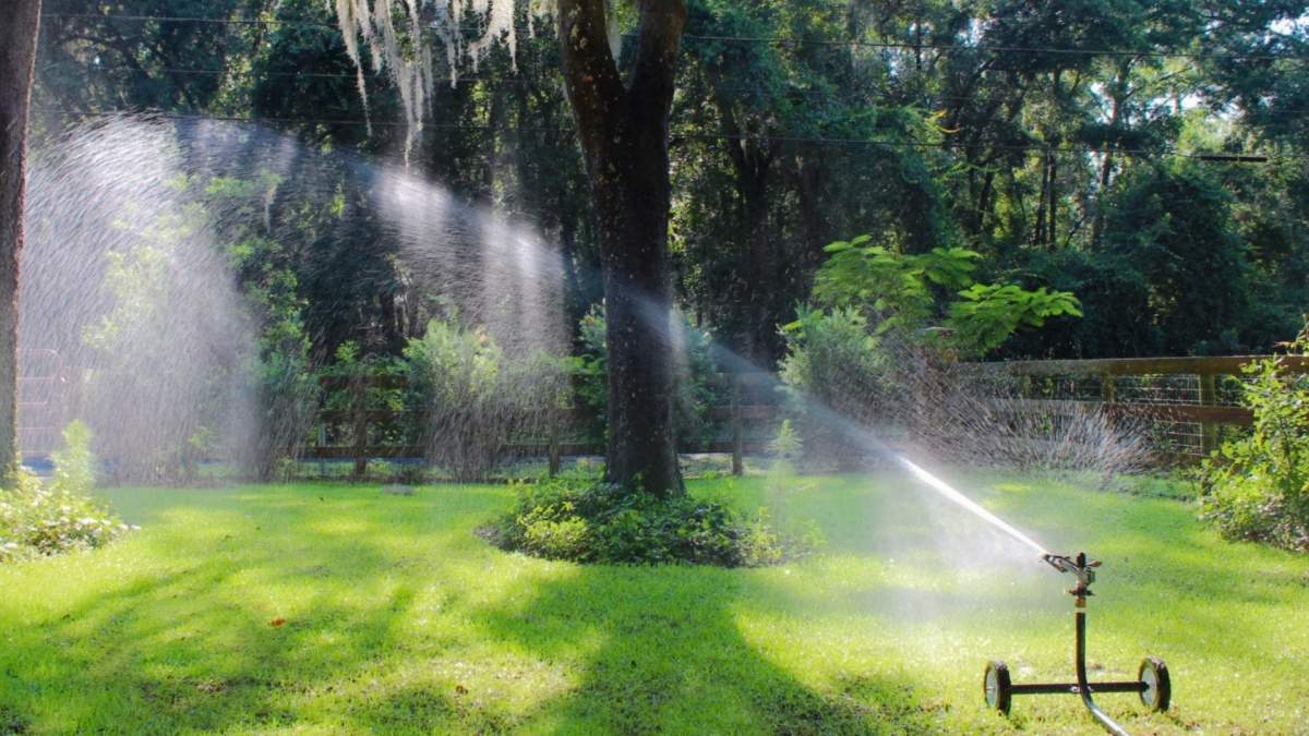 Beautiful green yard with a big willow tree and wooden fence and the 1000F wheeled sprinkler cart is watering the entire scene. 