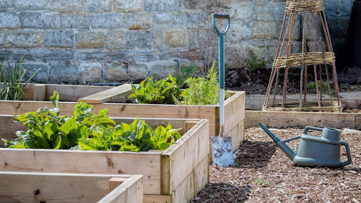small raised garden boxes with small green plants starting to emerge which represents one of your possible garden goals