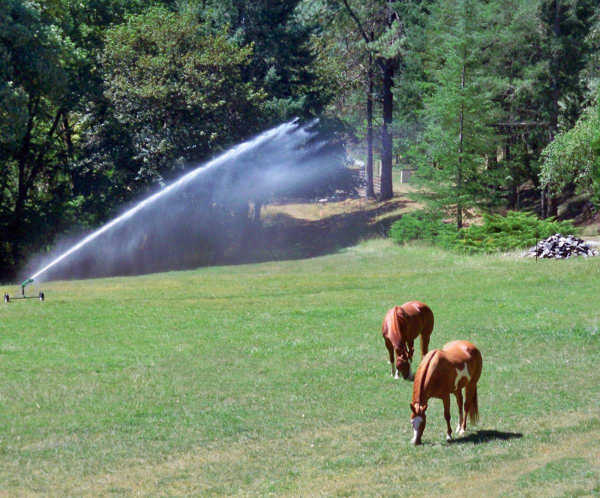 sprinkler with horses in field
