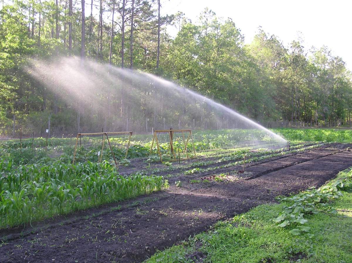 sprinkler for small farm