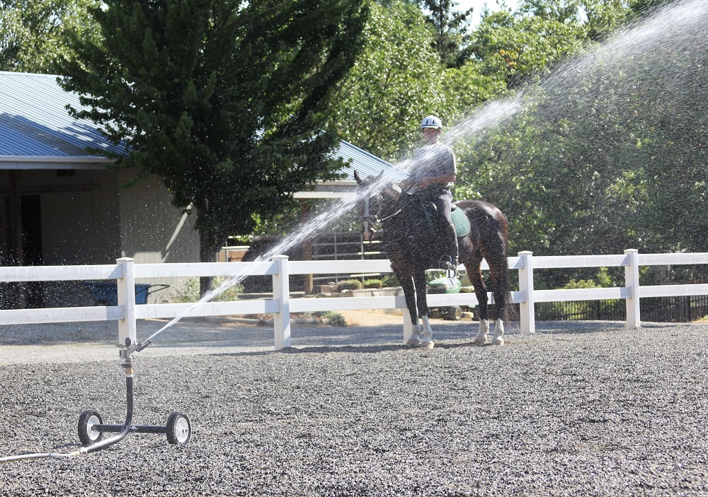 sprinkler in horse arena
