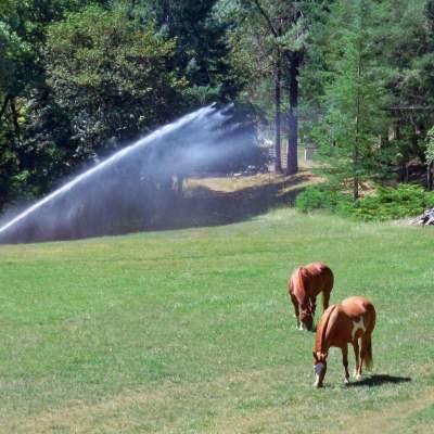 sprinkler with horses in field