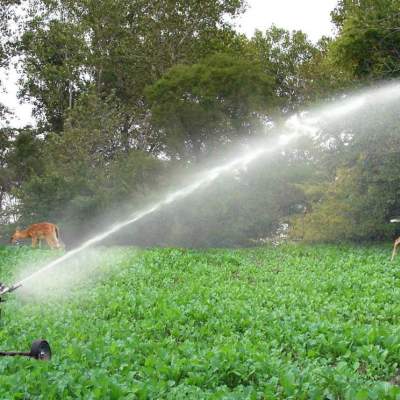 sprinkler in pasture with deer in background